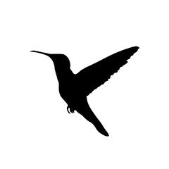 Bird silhouette vector