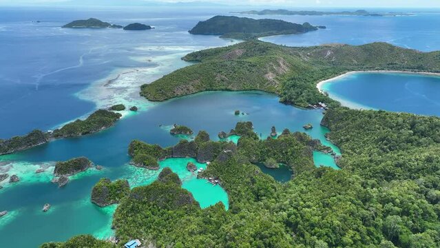 The incredibly scenic, limestone islands of Penemu are surrounded by beautiful coral reefs. These islands, found in northern Raja Ampat, support an amazing array of biodiversity.
