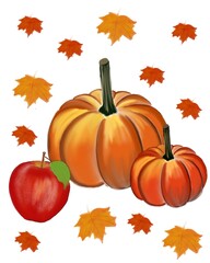 Illustration of pumpkins apple and maple levaes