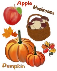 Illustration of autumnal harvest. An apple, a pumpkin, and a basket of mushrooms 