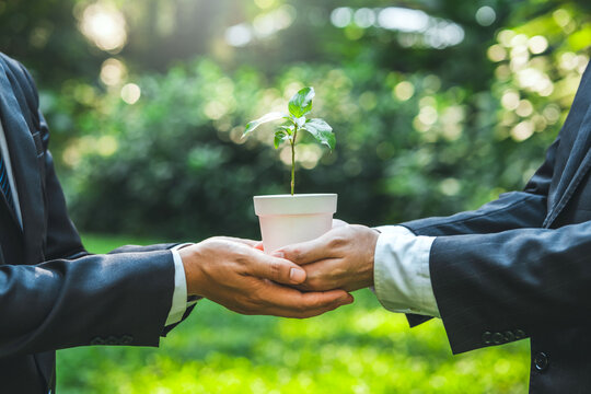 Environmental Collaboration in green business people conserve the green business growing with plants in the hands sustainable development goals. Future environmental ESG modernization development