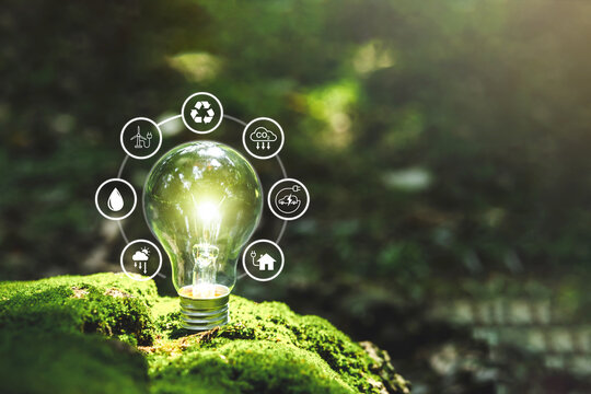Renewable Energy.Environmental protection achieve business goals environment with light bulb that represents green energy Renewable and clean energy.