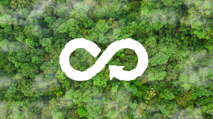 environment sustainable circular economy for future growth of business Carbon neutral and net zero environment A climate-neutral long-term strategy greenhouse gas emissions targets on nature 