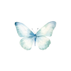 watercolor butterfly cliparts, isolated