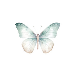 Obraz premium watercolor butterfly cliparts, isolated