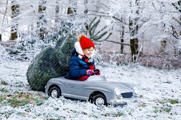 Happy little smiling girl driving toy car with Christmas tree. Funny preschool child in winter clothes bringing hewed xmas tree from snowy forest. Family, tradition, holiday.