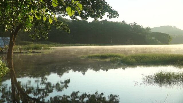 Mysterious mist ascends gently, embracing the water's surface in a captivating dance of ethereal beauty and enchantment, veiling the landscape in a cloak of atmospheric allure.