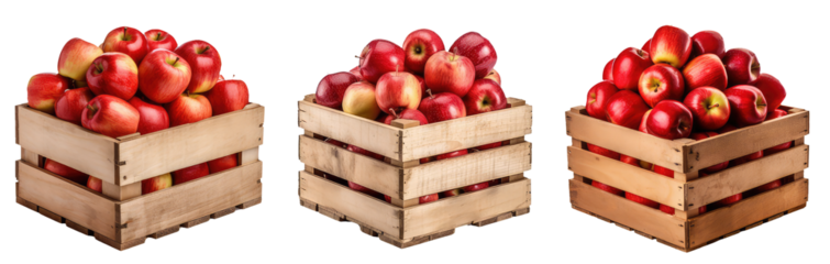 apples in wooden crates 