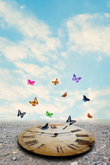 colorful butterflies  flying over a vintage clock