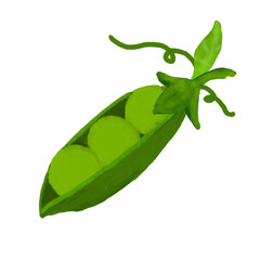 green peas water color vector