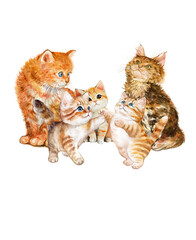 ginger cat family  Parents sit and watch three kittens play.  Fun and cute  Happy and fruitful