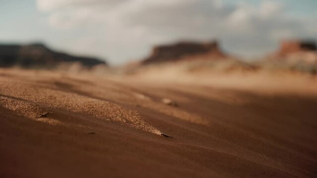 Grains of sand blowing in the desert wind during sunset