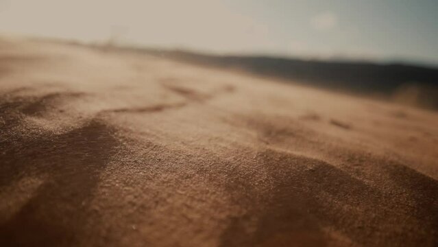 Grains of sand blowing in the desert wind during sunset