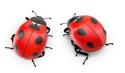 ladybug on transparent background - obrazy, fototapety, plakaty