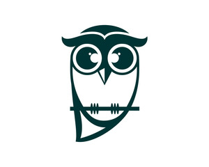 owl icon