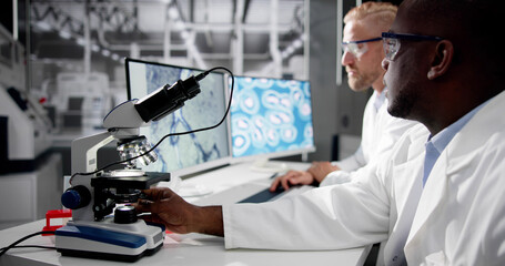 Research Lab Scientist Using Computer