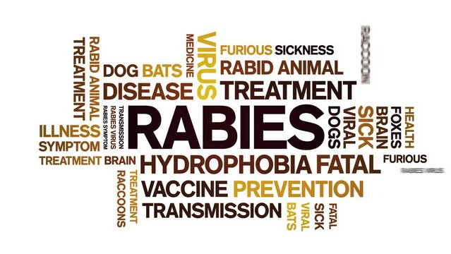 Rabies animated tag word cloud;text design animation kinetic typography seamless loop.
