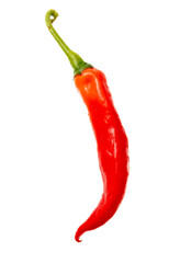 One red chili pepper isolated white background. Close-up