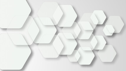 Grey and White Abstract background geometry shine and layer element concept hexagon structure vector illustration.