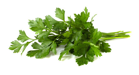 A bunch of fresh green parsley on a white background