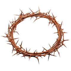 Fototapeta premium Crown of sharp thorns