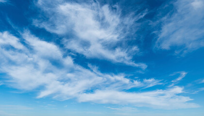 Naklejka na ściany i meble Mittelhohe, lockere Wolkenfelder am blauem Himmel, cirrusartige Bewölkung