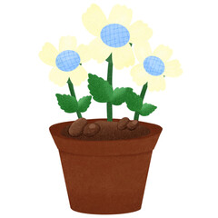 Fototapeta premium Flowers 
