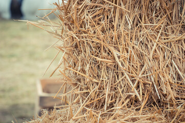 Bales of hay or straw. Background or wallpaper texture - obrazy, fototapety, plakaty