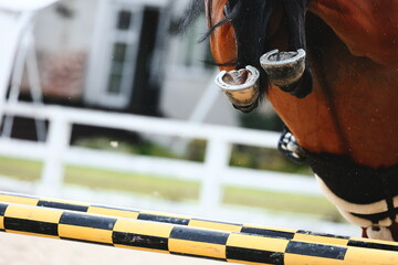 The hind shod hooves of a dark tail bay horse that has just jumped over the high yellow hurdle. Equestrian sports