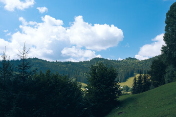 Carpathian mountain forest at early morning sunrise. Beautiful nature landcape.