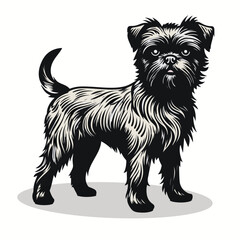 Border Terrier silhouettes and icons. black flat color simple elegant Border Terrier animal vector and illustration.