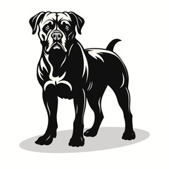 Fototapeta premium Cane Corso silhouettes and icons. black flat color simple elegant Cane Corso animal vector and illustration.