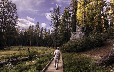 taking a short hike at sequoia national park