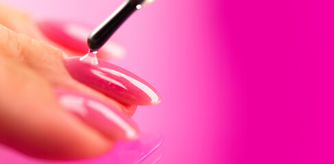 Applying Nail polish, pink shellac UV gel, varnish, manicure process concept in beauty salon. Transparent top coat drop on brush. Over pink background. Application of nail polish