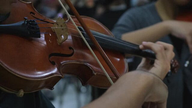Violin Player plays a certain music, left-hand fingers attack the notes with vibrato as the right-hand bows the notes together with others performers.