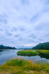Scenic view of a small lake and green trees.