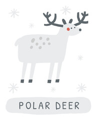 Winter flashcard. Learning English words for kids. Cute hand drawn doodle educational card with polar deer. Preschool learning material