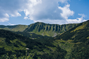 Summer day in the mountains. Mount Shpytsi, Chornohora, Carpathian Mountains