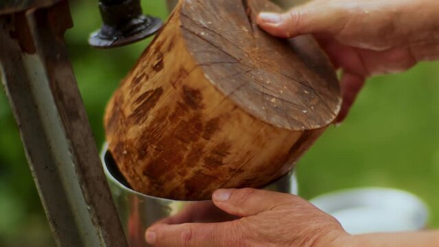 The fruit farmer crushes apples on a crushing machine making crushed apple.