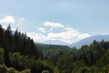 Ukraine Carpathians mountain forest river sun clouds beauty
