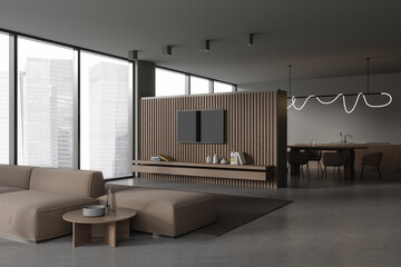 Grey studio interior with chill place with tv console and eating space
