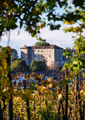 Fototapeta premium Foto scattata al tramonto nelle colline attorno a Tassarolo durante il periodo autunnale.