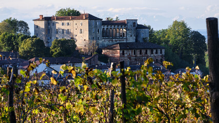 Foto scattata al tramonto nelle colline attorno a Tassarolo durante il periodo autunnale.