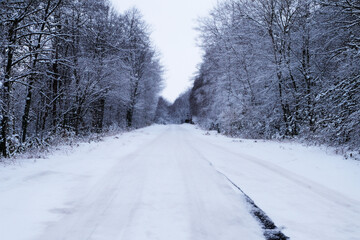 雪の中の風景　Scenery in the snow