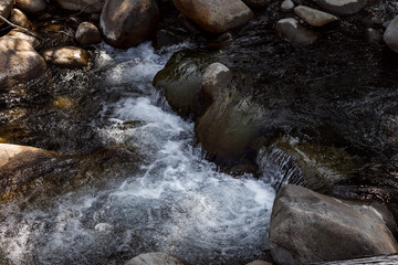 Ukraine Carpathians mountain forest river sun clouds beauty