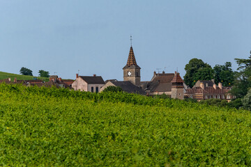 Fototapeta na wymiar Vue du Monthelie et son vignoble, en Bourgogne, France