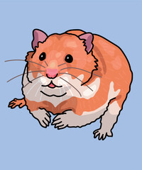 Hamster Brown White Sitting Front View