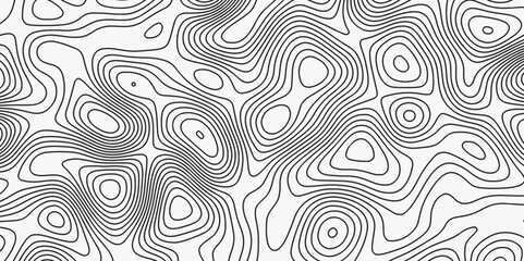 Abstract Topographic Map in Contour Line Light stripes on a white background Topographic Map topo contour map and Ocean topographic line map with curvy wave isolines vector