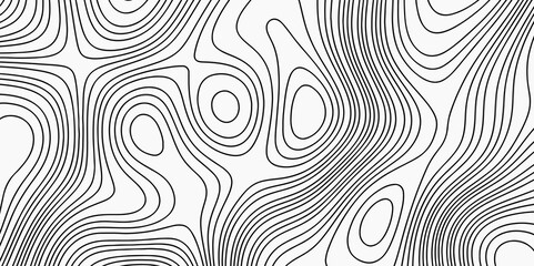 Abstract Topographic Map in Contour Line Light stripes on a white background Topographic Map topo contour map and Ocean topographic line map with curvy wave isolines vector