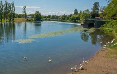 The Korana River as it passes through the town of Karlovac in central Croatia